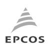 1 epcos 1 epcos